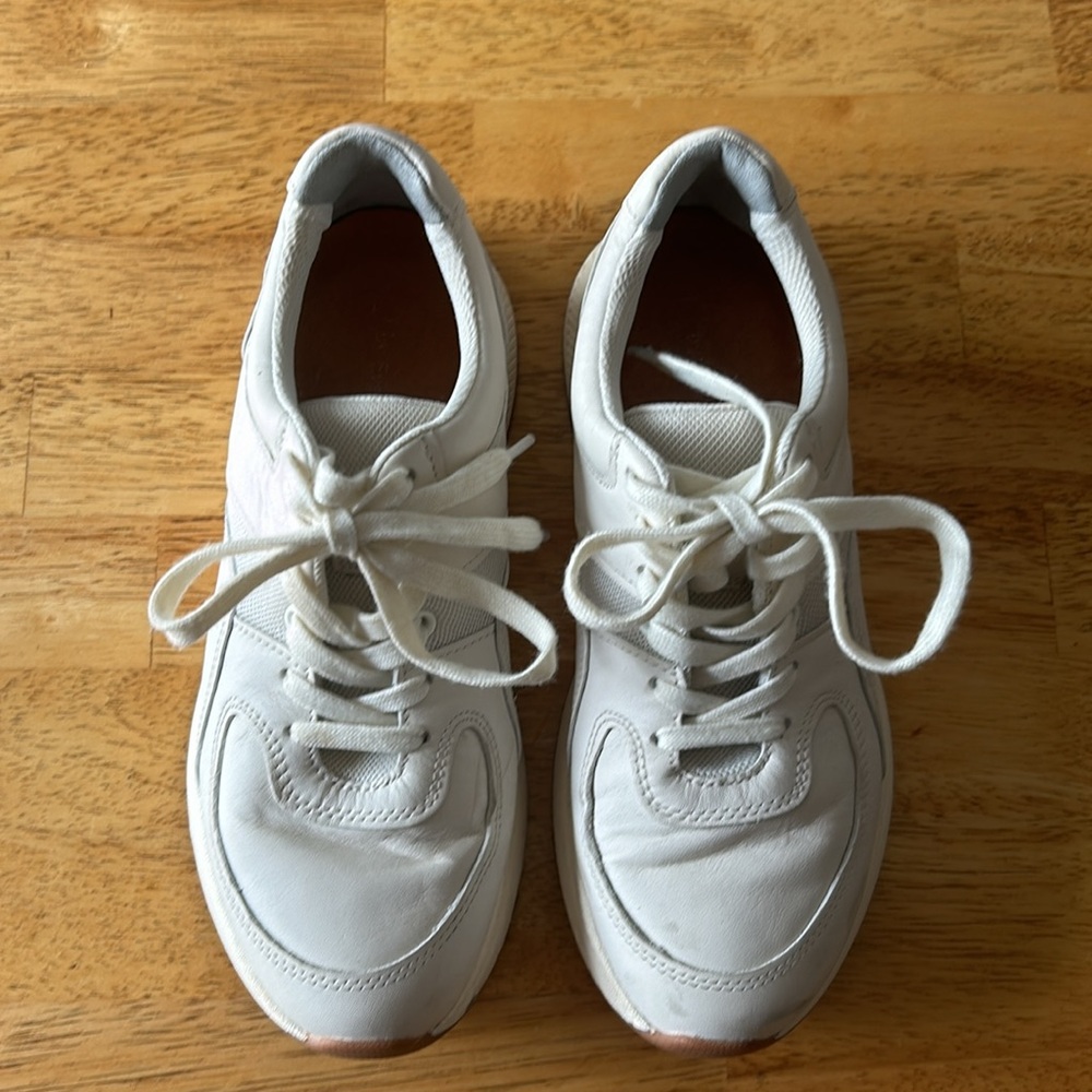 Everlane Court Sneakers Size 8.5